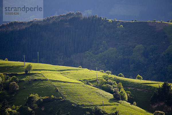 Blick auf die Berge  Guipuzcoa Provinz  Baskenland  Spanien  Europa