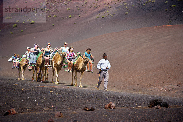 Touristen reiten auf Kamelen  Timanfaya-Nationalpark  Lanzarote  Kanarische Inseln  Spanien  Europa