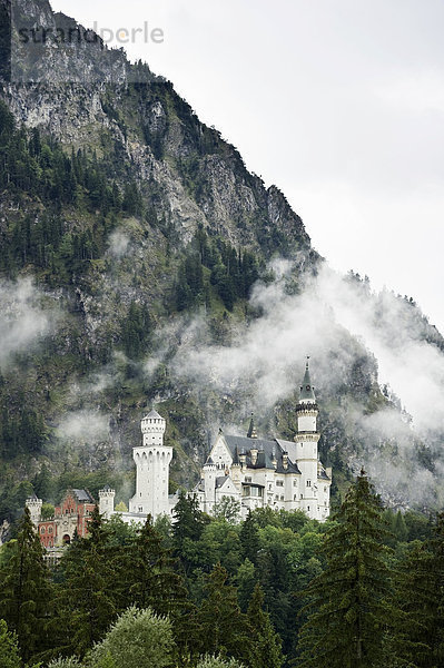 Schloss Neuschwanstein  Füssen  Allgäu  Bayern  Deutschland  Europa