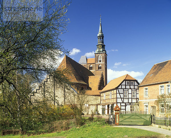 Stephanskirche Tangermünde  Sachsen-Anhalt  Deutschland  Europa