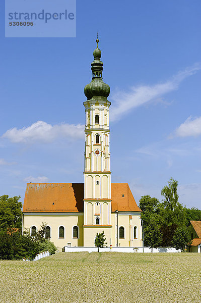 Pfarrkirche Mariä Opferung  Westen  Mallersdorf-Pfaffenberg  Niederbayern  Bayern  Deutschland  Europa