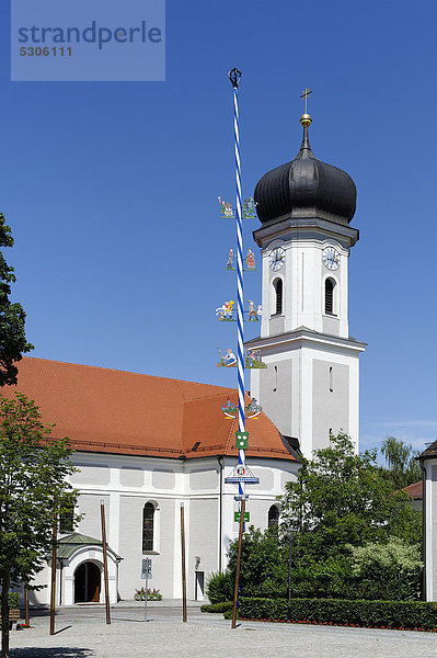 Pfarrkirche St. Veit  Au  Hallertau  Oberbayern  Bayern  Deutschland  Europa