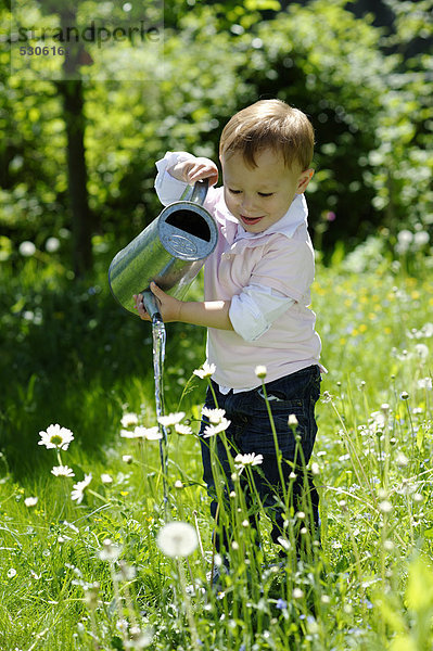 Kleiner Junge  2 Jahre  gießt mit einer Gießkanne den Garten