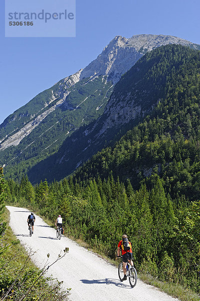 Pleisenspitz über dem Weg ins Karwendeltal  Tirol  Österreich  Europa