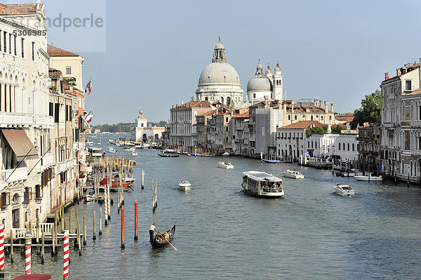 Canal Grande  rechts Kirche Santa Maria della Salute  Venezia  Venedig  Italien  Europa