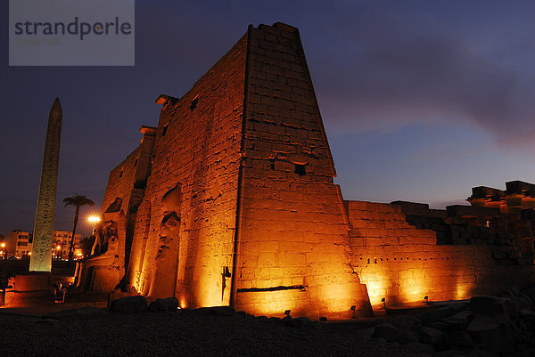 Pylon  Obelisk und Statuen Ramses II.  Luxor-Tempel bei Nacht  Luxor  Niltal  Ägypten  Afrika