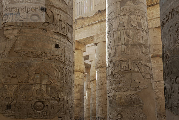 Säulen in der großen Säulenhalle  Karnak-Tempel  Luxor  Niltal  Ägypten  Afrika