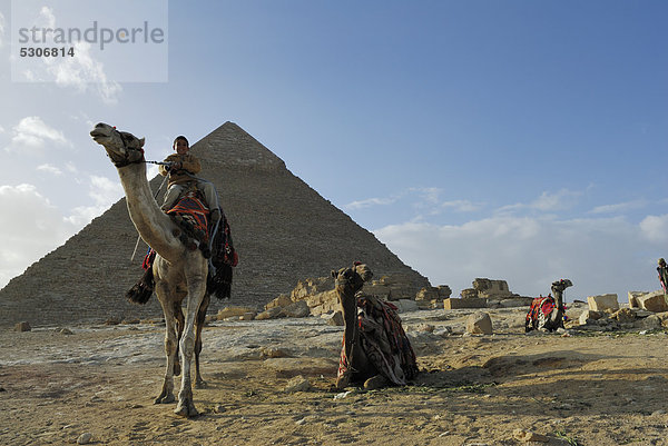Kleiner Junge auf Dromedar (Camelus dromedarius) vor Chephren Pyramide  Pyramiden von Gizeh  Kairo  Ägypten  Afrika