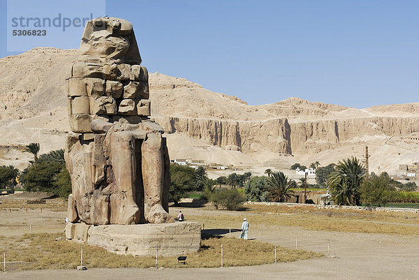 Kolosse von Memnon  Theben West  Deir el-Bahari  Luxor  Niltal  Ägypten  Afrika