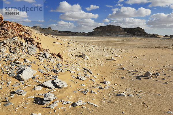 Weiße Wüste  Oase Farafra  Libysche Wüste  Ägypten  Afrika