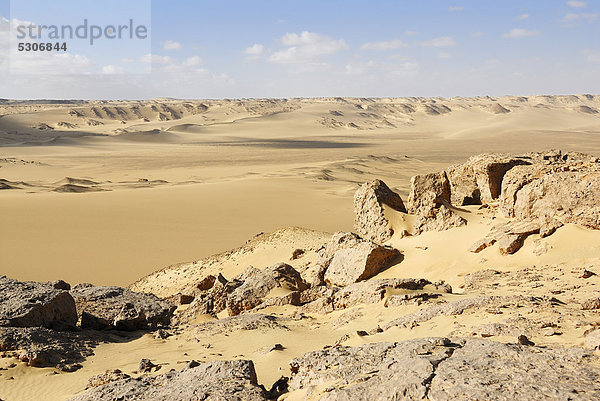 Wüstenlandschaft nahe Oase Farafra  Libysche Wüste  Ägypten  Afrika