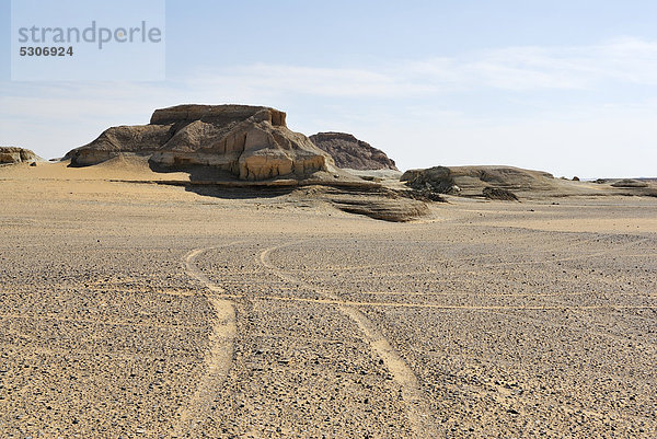 Steinwüste zwischen Oase Dakhla und Oase Kharga  Libysche Wüste  Sahara  Ägypten  Afrika