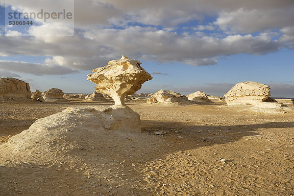 Pilzförmige Kalksteinformation  Weiße Wüste  Oase Farafra  Libysche Wüste  Sahara  Ägypten  Afrika