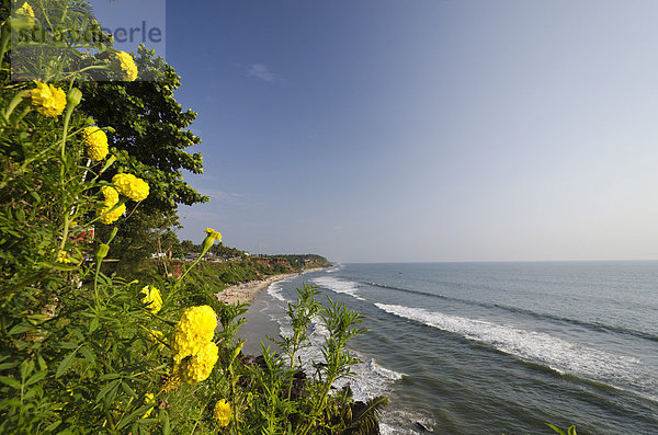 Strand von Varkala  Kerala  Indien  Asien