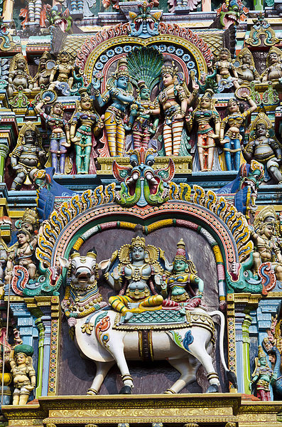 Ein Gopuram  einer der Tortürme des Minakshi-Tempels  bis zu 50 m hoch und kunstvoll verziert mit Tausenden von bunten Götterstatuen  Madurai  Tamil Nadu  Indien  Asien