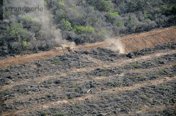 Luftaufnahme aus einer Cessna: Mit Bulldozern wird der Wald zerstört. Die Biomasse wird auf die gerodeten Flächen verteilt und anschließend verbrannt  Gran Chaco  Salta  Argentinien  Südamerika