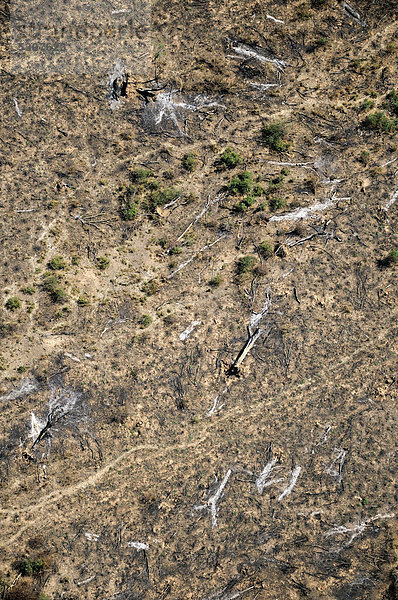 Luftaufnahme aus einer Cessna: Illegale Brandrodung im Gran Chaco. Stämme  Äste und Zweige des gebrochenen Waldes werden auf den zukünftigen Feldern verbrann  Salta  Argentinien  Südamerika