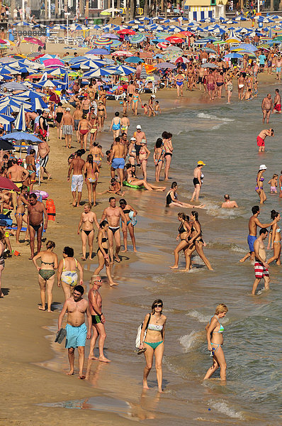 Badegäste am Strand Playa Levante  Massentourismus  Benidorm  Costa Blanca  Spanien  Europa