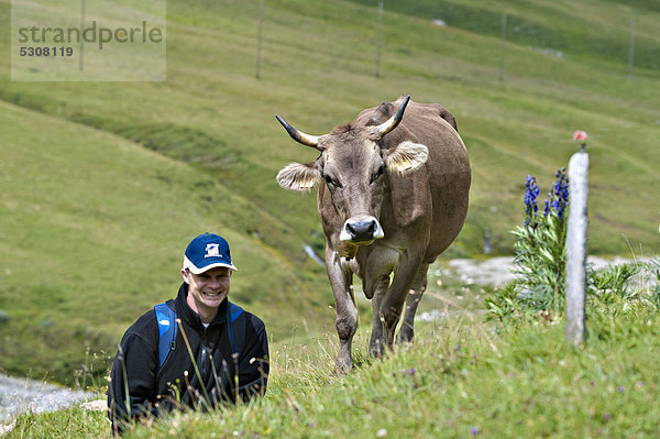 Mann neben Kuh auf der Alp  Averser Tal  Aversertal  Averstal  Graubünden  Schweiz  Europa
