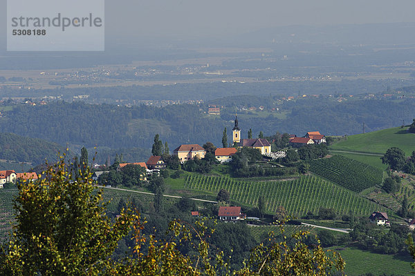 Kitzeck  Weinregion  Südsteiermark  Steiermark  Österreich  Europa