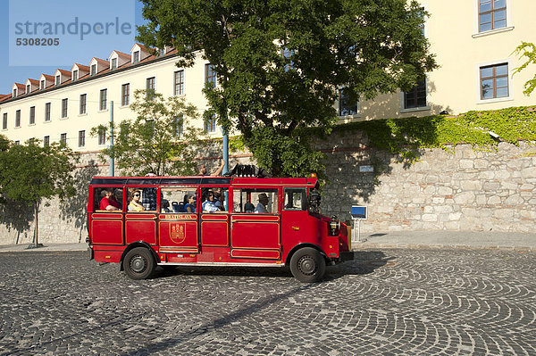 Roter Touristenbus  Bratislava  Pressburg  Slowakei  Europa
