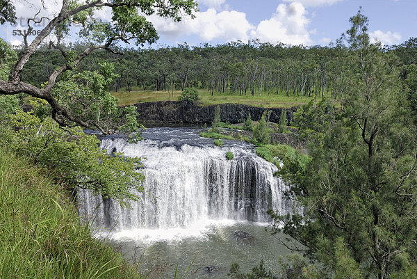 Millstream Falls  Ravenshoe  Highway 1  Queensland  Australien