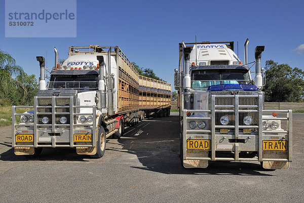 Roadtrains für den Viehtransport  Moura  Great Dawson Highway  Queensland  Australien
