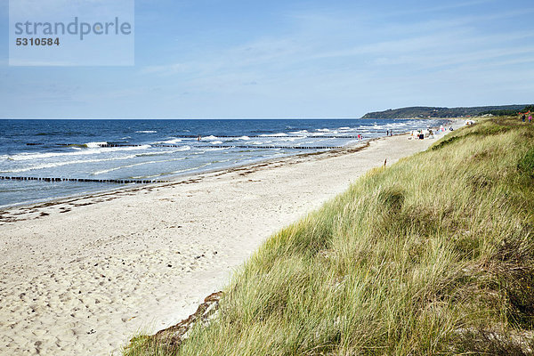 Strand an der Westküste in der Nähe von Vitte  Hiddensee  Mecklenburg-Vorpommern  Deutschland  Europa