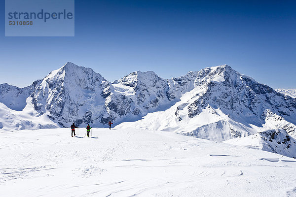 Skitourengeher beim Abstieg der hinteren Schöntaufspitze  Sulden im Winter  hinten die Königsspitze und der Zebru und Ortler  Südtirol  Italien  Europa