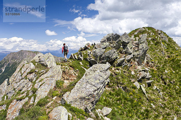 Wanderer auf dem Grat vom Spitzen Kornigl zum Kleinen Kornigl  Ultental  Ulten  Südtirol  Italien  Europa