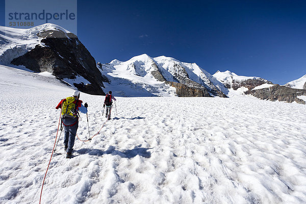 Bergsteiger auf dem Persgletscher  hinten der Piz Palü und rechts der Piz Cambrena  links die Bellavista  Graubünden  Schweiz  Europa