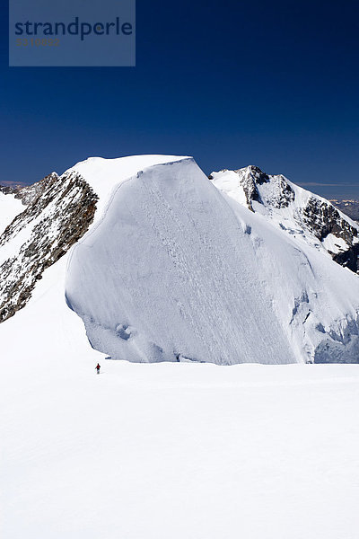Aussicht vom Gipfelgrat des Piz Palü  hinten der Gipfel des Piz Bernina mit dem Biancograt  Graubünden  Schweiz  Europa