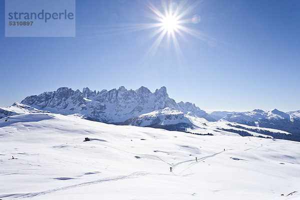 Schneelandschaft  Aussicht beim Aufstieg zur Cima Bocche oberhalb vom Passo Valles  Dolomiten  hinten die Palagruppe  daneben der Passo Rolle  Trentino  Italien  Europa