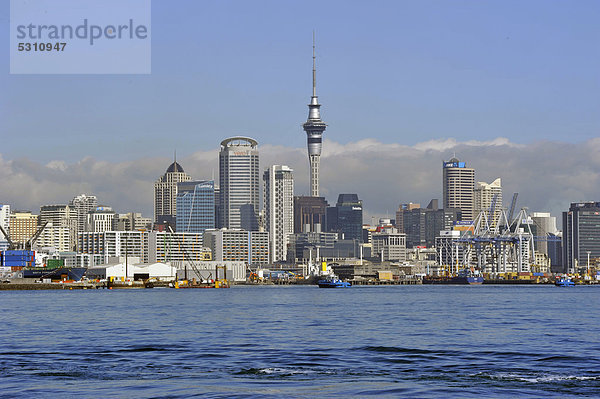 Skyline von Devonport aus gesehen  Auckland  Neuseeland