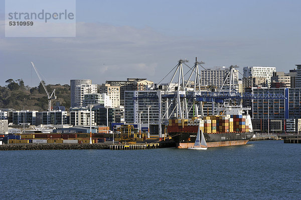 Hafen Ignoranz Basset Auckland Aussichtspunkt Neuseeland