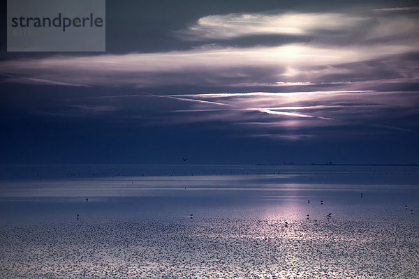 Sonnenuntergang am Meer  Nordseeküste  Deutschland  Europa