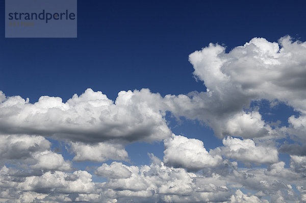 Weiße Wolken am blauen Himmel  Mecklenburg-Vorpommern  Deutschland  Europa