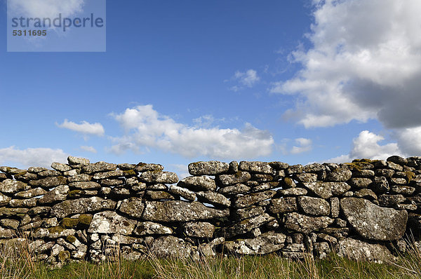 Steinmauer  Europa  Landschaft  Stein  Wolke  Großbritannien  Himmel  trocken  blau  bauen  Devon  England