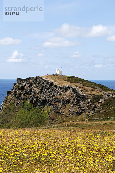 Zerklüftete Felsklippen an der Küste bei Boscastle  hinten Beobachtungsturm der National Coastwatch  vorne blühende Blumenwiese  Boscastle  Cornwall  England  Großbritannien  Europa