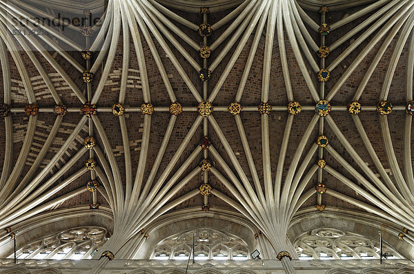 Gotisches Deckengewölbe der Exeter Kathedrale aus dem 13.Jhd.  rechts gotisches Maßwerk  Exeter  Devon  England  GrobritannÌen  Europa
