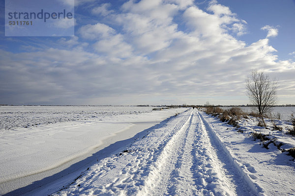 Weg bedeckt mit Schnee  Naturschutzgebiet Reeuwijkse Plassen im Winter  Landschaft zwischen Gouda und Bodegraven  Reeuwijk  Holland  Niederlande  Europa