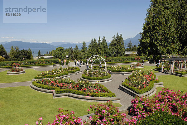 Garten  University of British Columbia  Vancouver  British Columbia  Kanada  Nordamerika