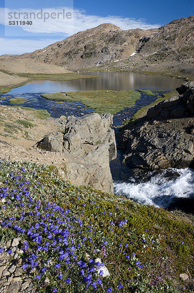 Landschaft bei Tasiilaq oder Ammassalik  Ostgrönland  Grönland