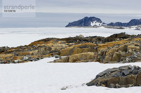Am Mittivakkat-Gletscher  Halbinsel Ammassalik  Ostgrönland  Grönland