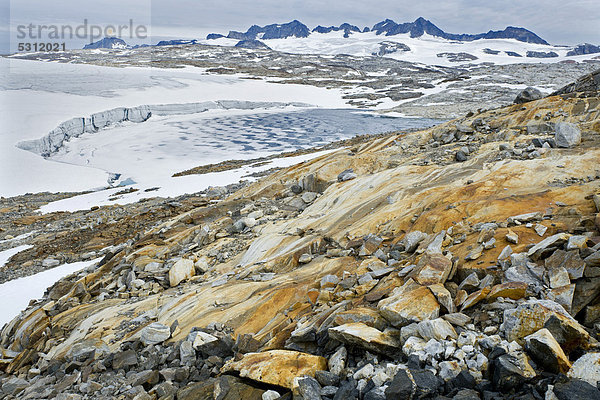 Ockerfarbenes Gestein am Mittivakkat-Gletscher  Halbinsel Ammassalik  Ostgrönland  Grönland
