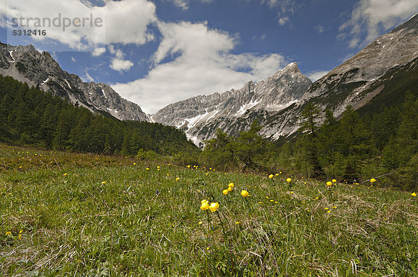 Issanger  dahinter Stempeljoch-Spitze  Isstal  Karwendelgebirge  Tirol  Österreich  Europa