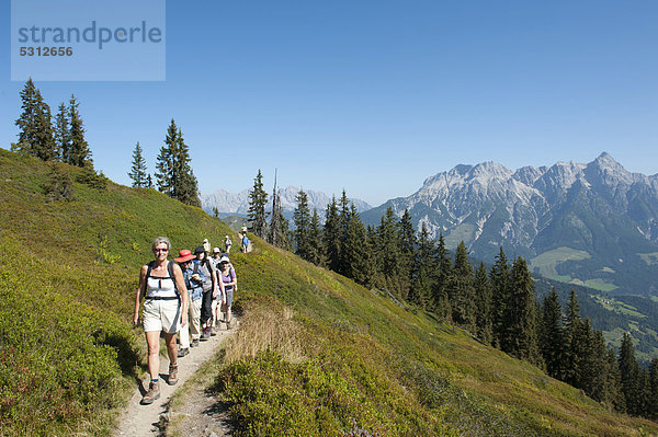 Wandergruppe wandert  schmaler Wanderpfad  Nördliche Kalkalpen  hinten Leoganger Steinberge  Alpen  Saalbach-Hinterglemm  Land Salzburg  Österreich  Europa