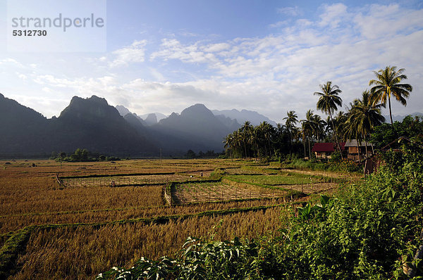 Reisfelder und Karstberge in der Nähe von Vang Vieng  Laos  Südostasien  Asien