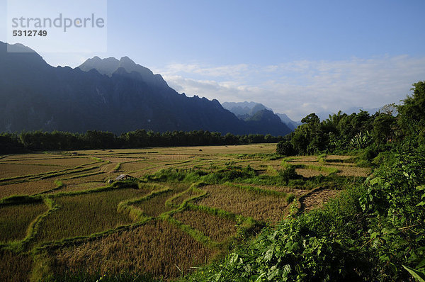 Reisfelder und Karstberge im Osten von Vang Vieng  Laos  Asien