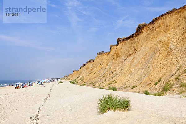 Rotes Kliff  Kampen  Insel Sylt  Schleswig-Holstein  Deutschland  Europa